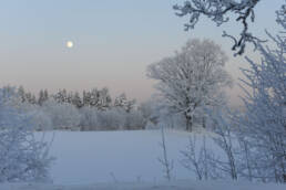 Dagen før blå måne