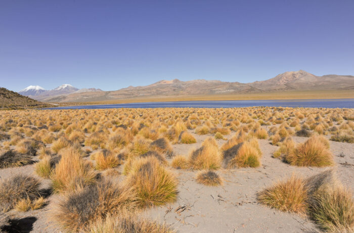 Laguna Huana Khota
