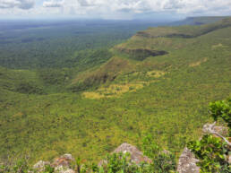 Noel Kempff Mercado National Park – Huanchaca Plateau