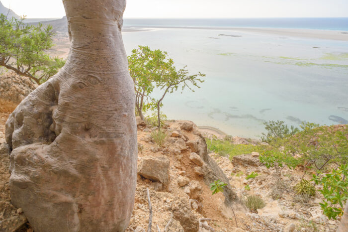 Detwah Lagoon, Socotra