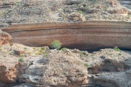 The many caves of Socotra