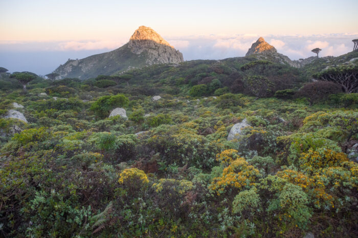 Haghier mountains, Socotra