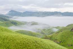 Dzukou Valley, Nagaland & Manipur