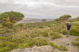 Morten Ross and Firhmin Forest, Socotra