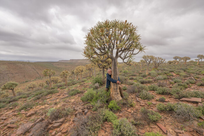 Morten Ross and Quiver Tree (Aloidendron dichotomum)