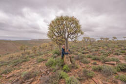 Morten Ross and Quiver Tree (Aloidendron dichotomum)